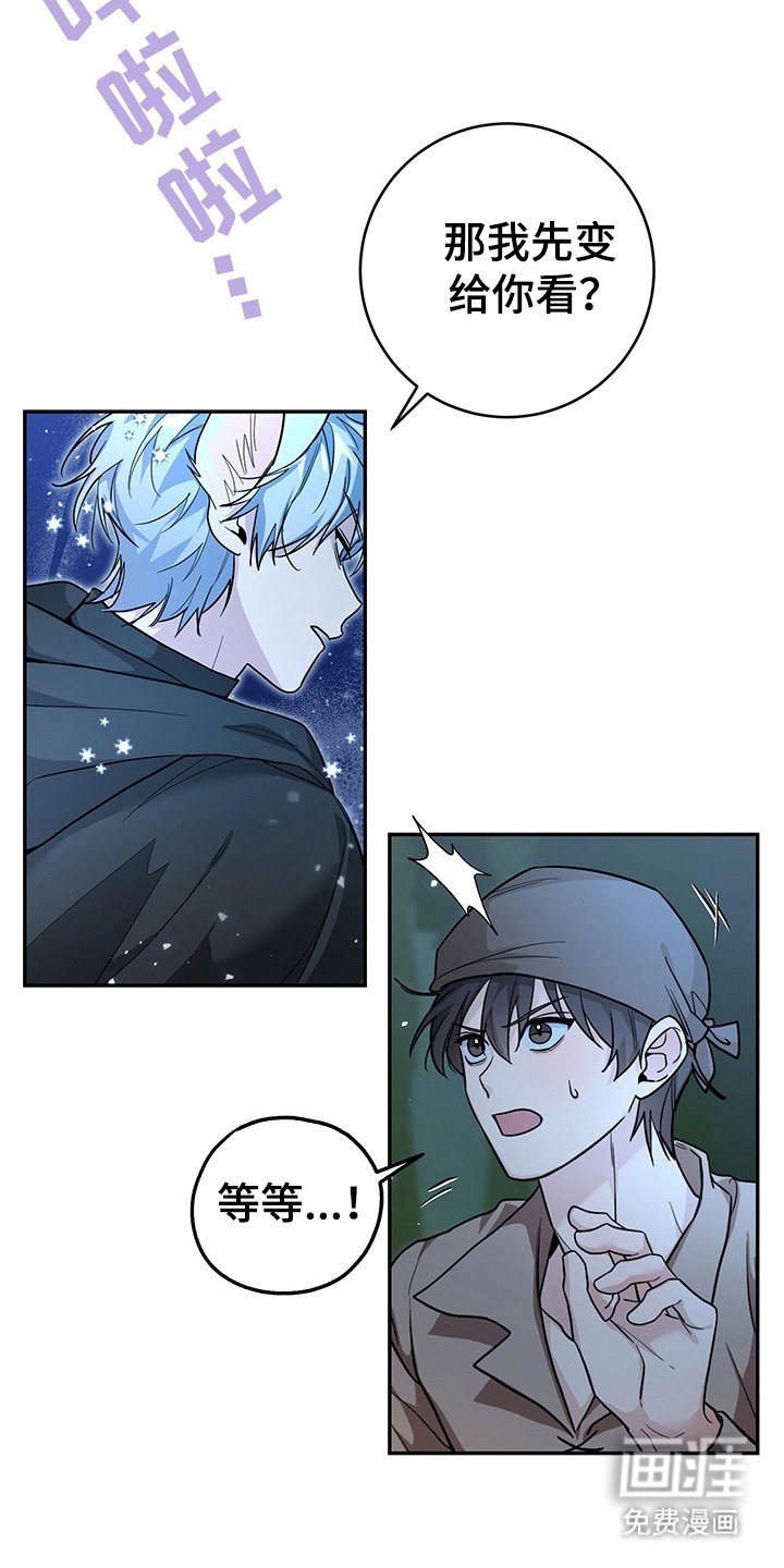 第15章：奴隶商人