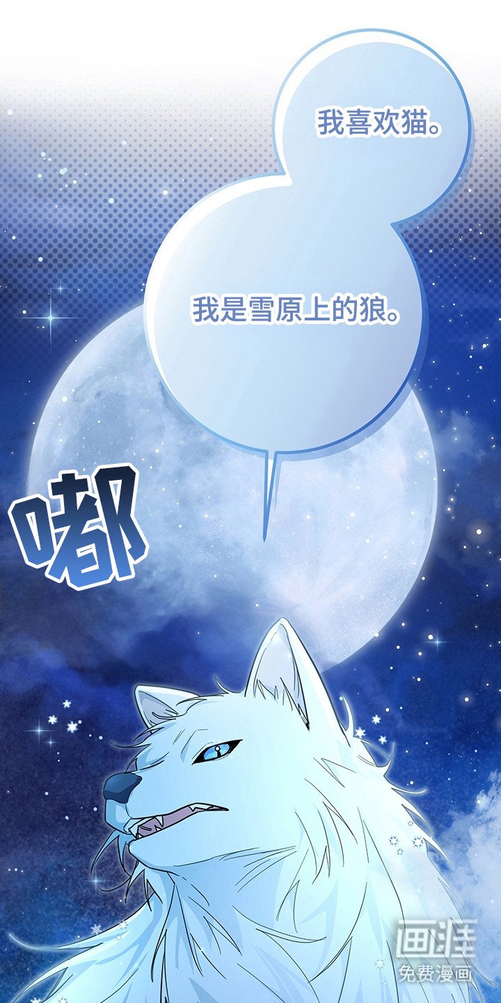 第15章：奴隶商人