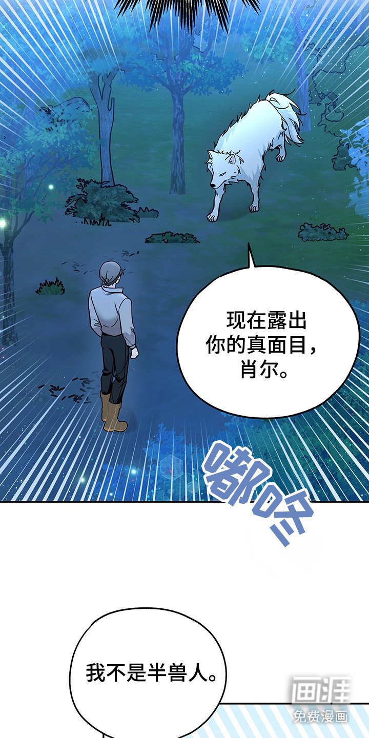 第16章：半兽人