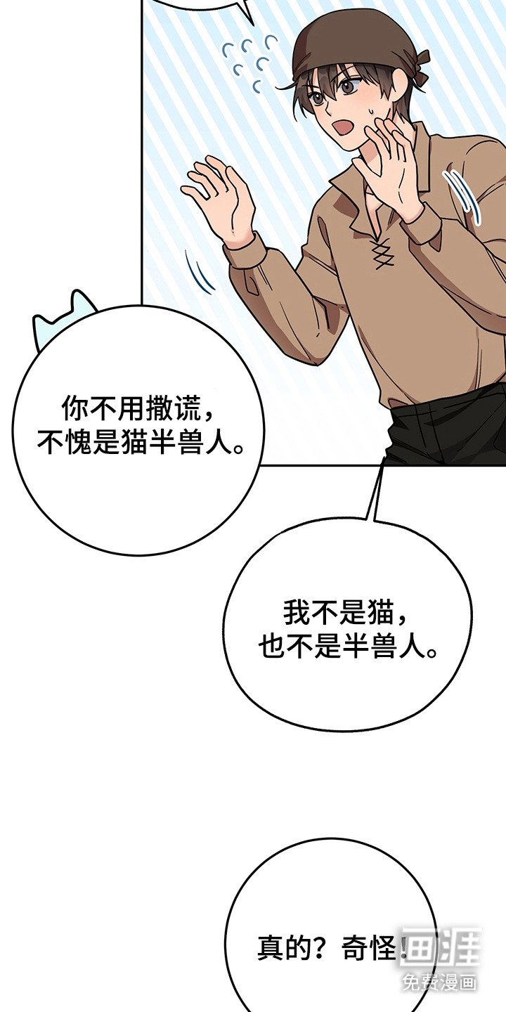 第16章：半兽人