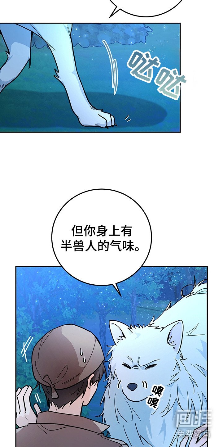 第16章：半兽人