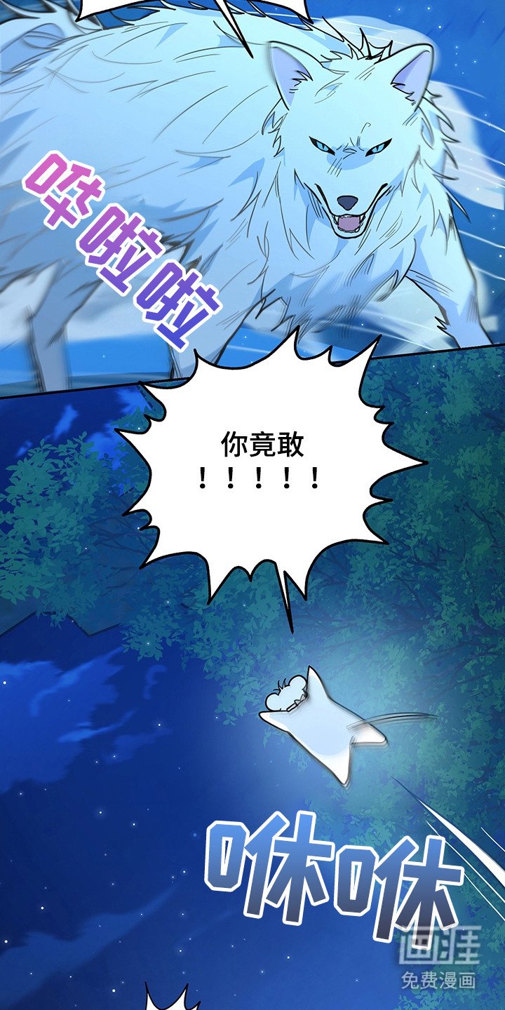 第16章：半兽人
