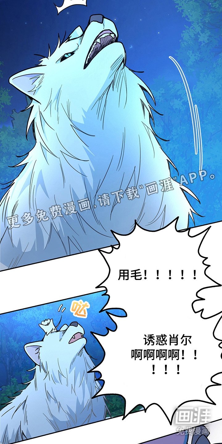第16章：半兽人