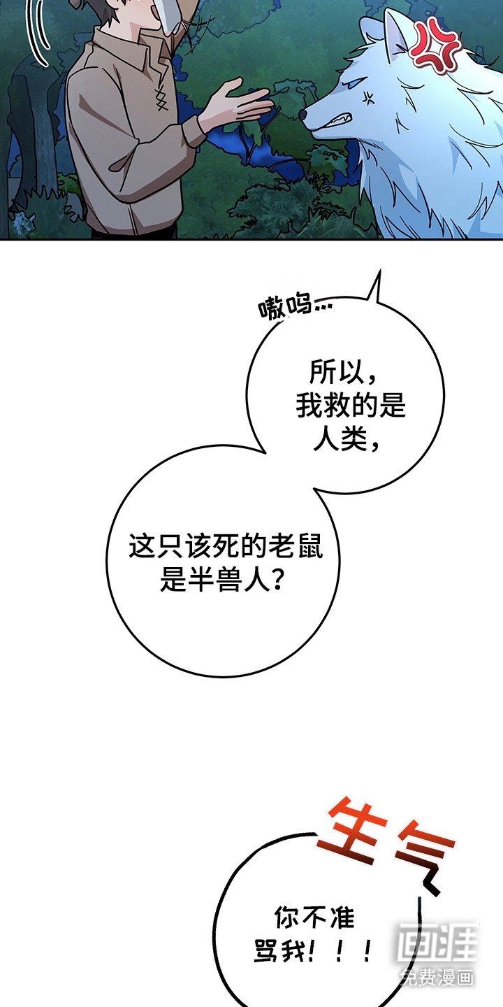 第16章：半兽人