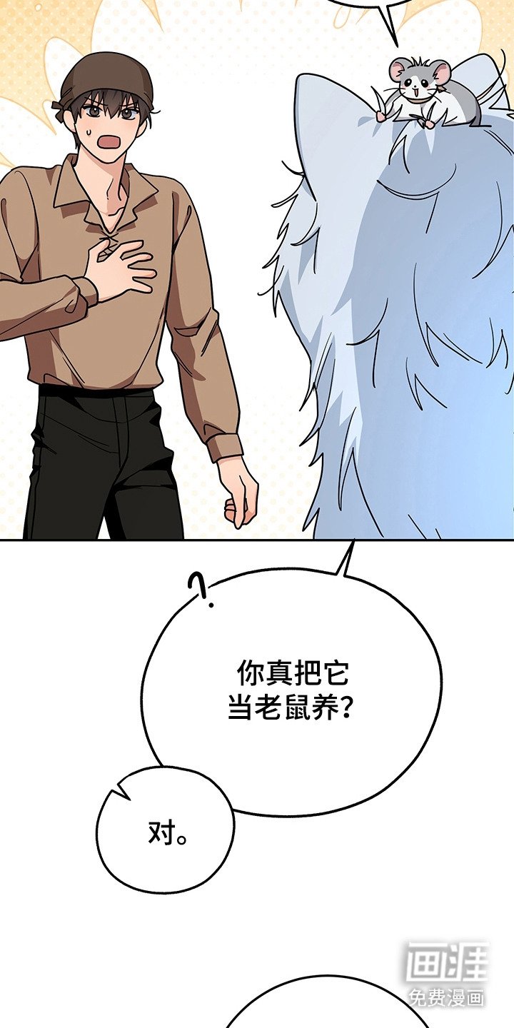 第16章：半兽人