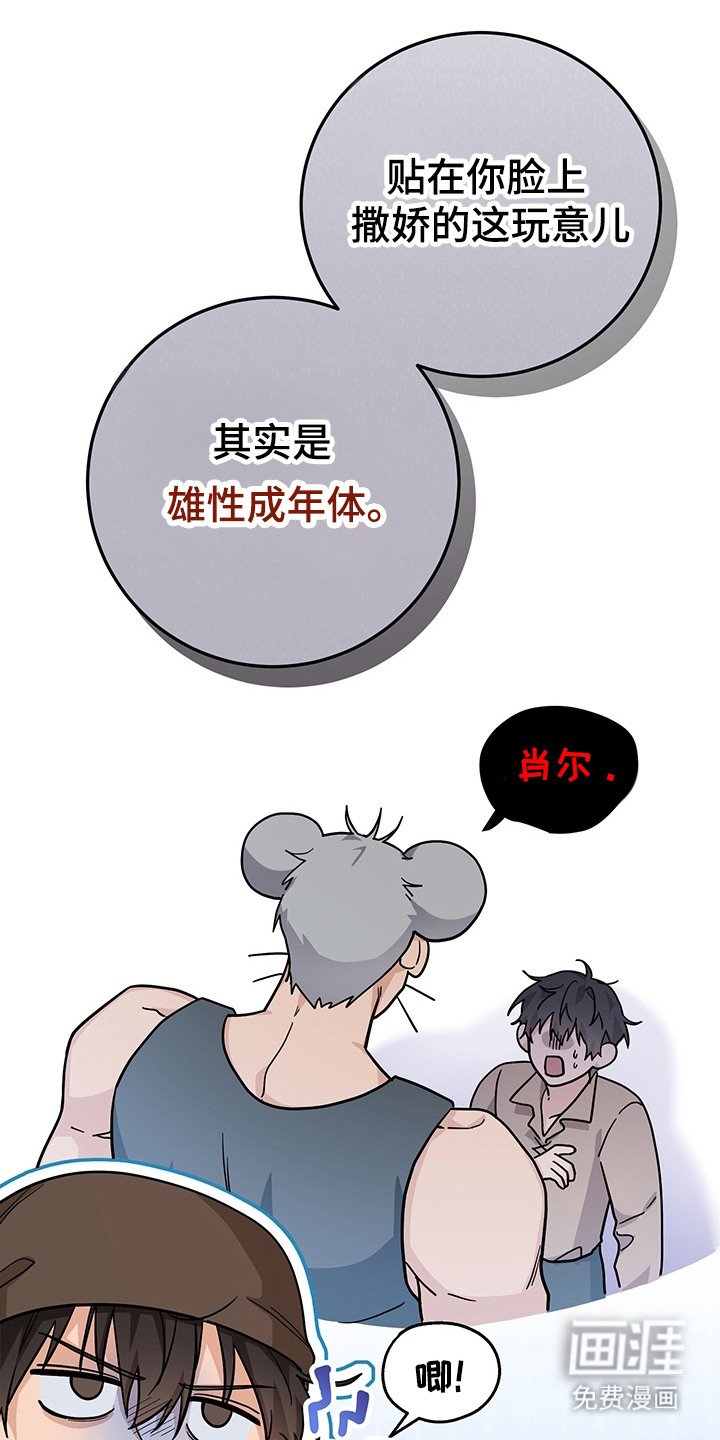 第16章：半兽人