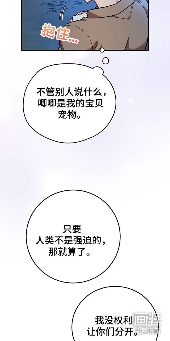 第17章：条件