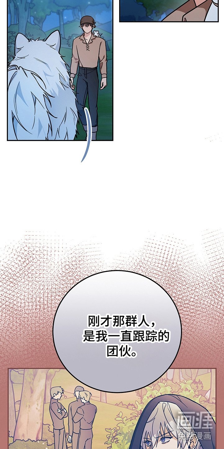第17章：条件