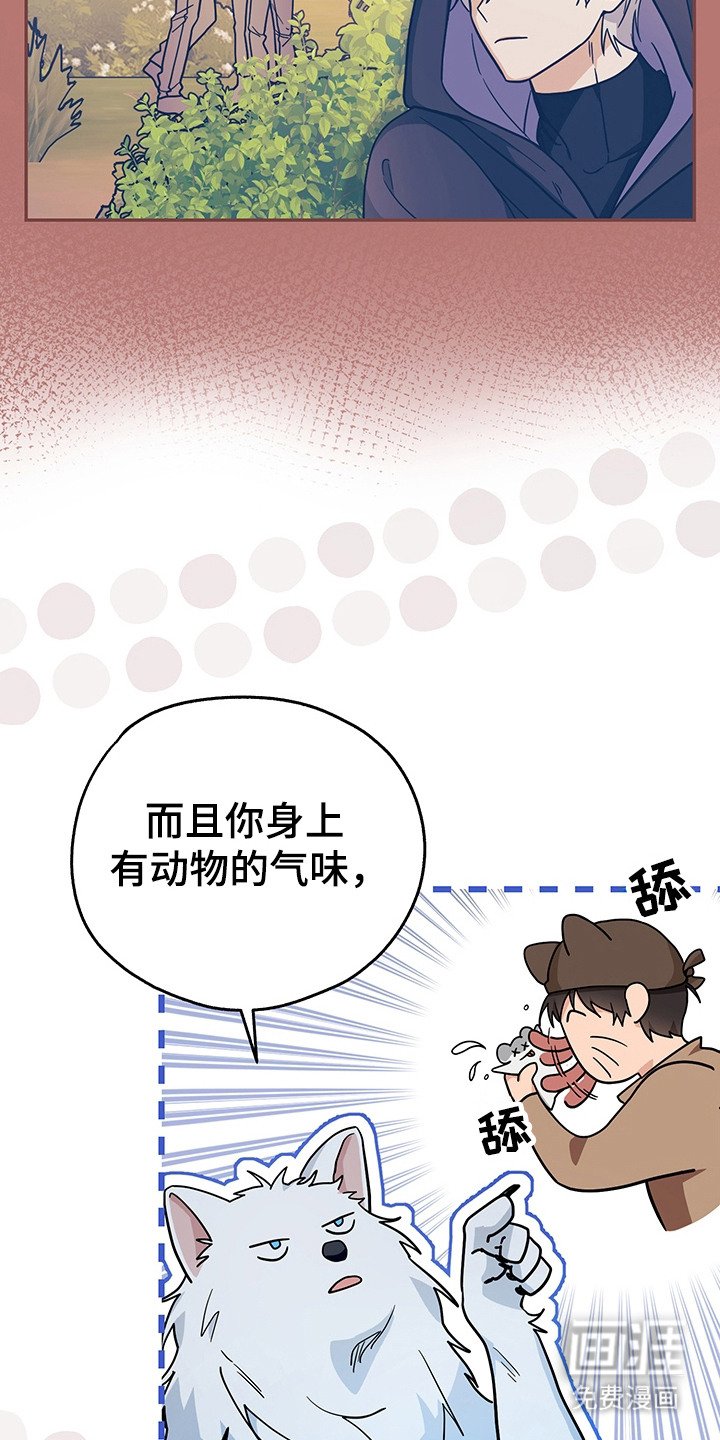 第17章：条件
