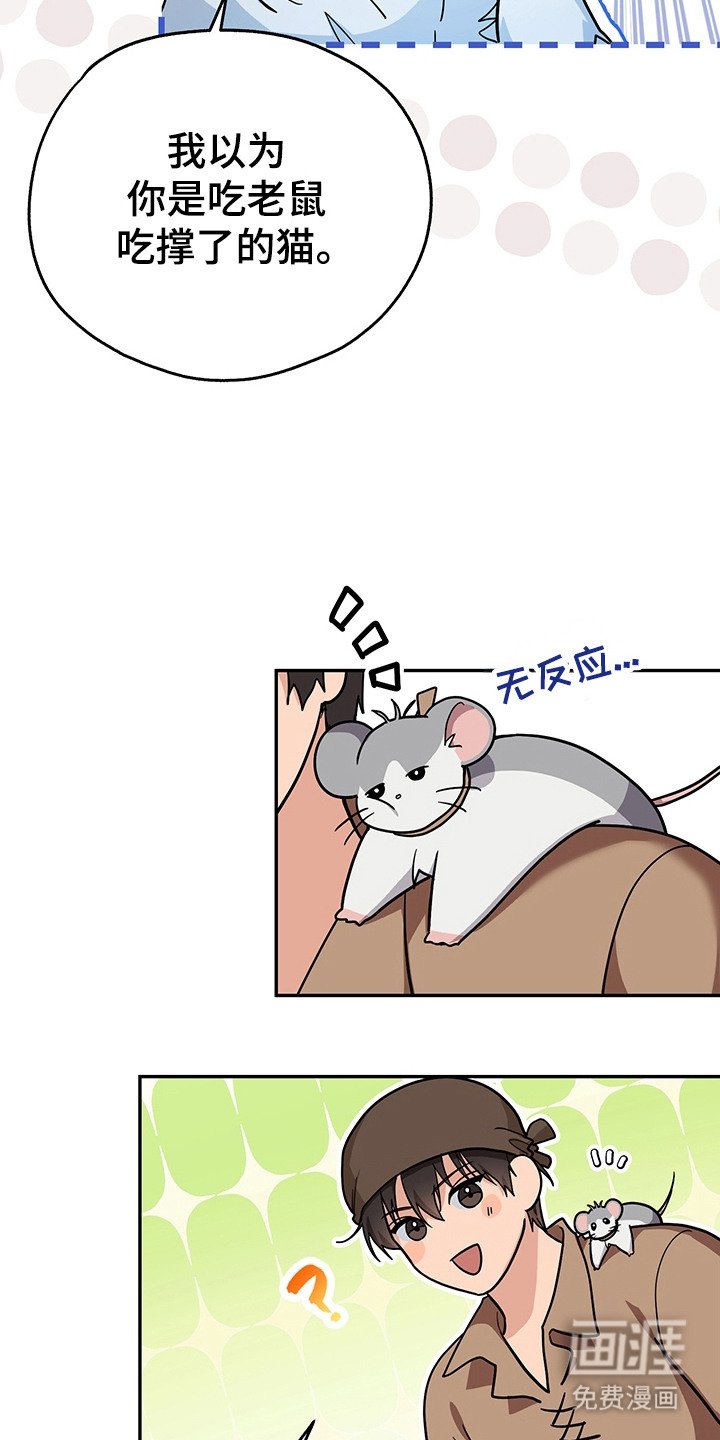 第17章：条件