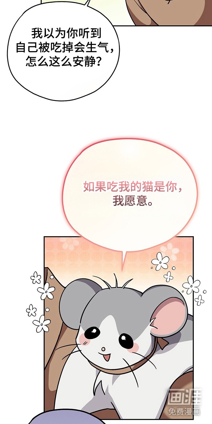 第17章：条件