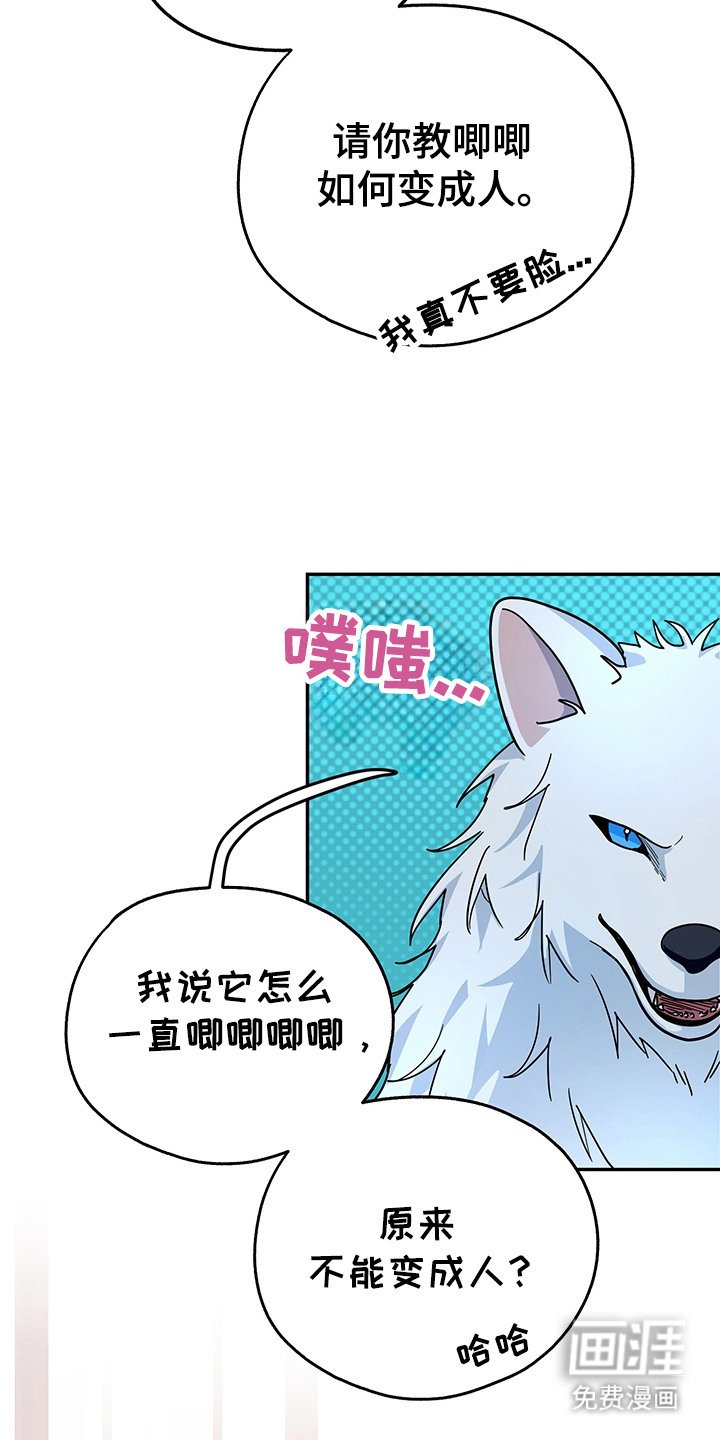 第17章：条件