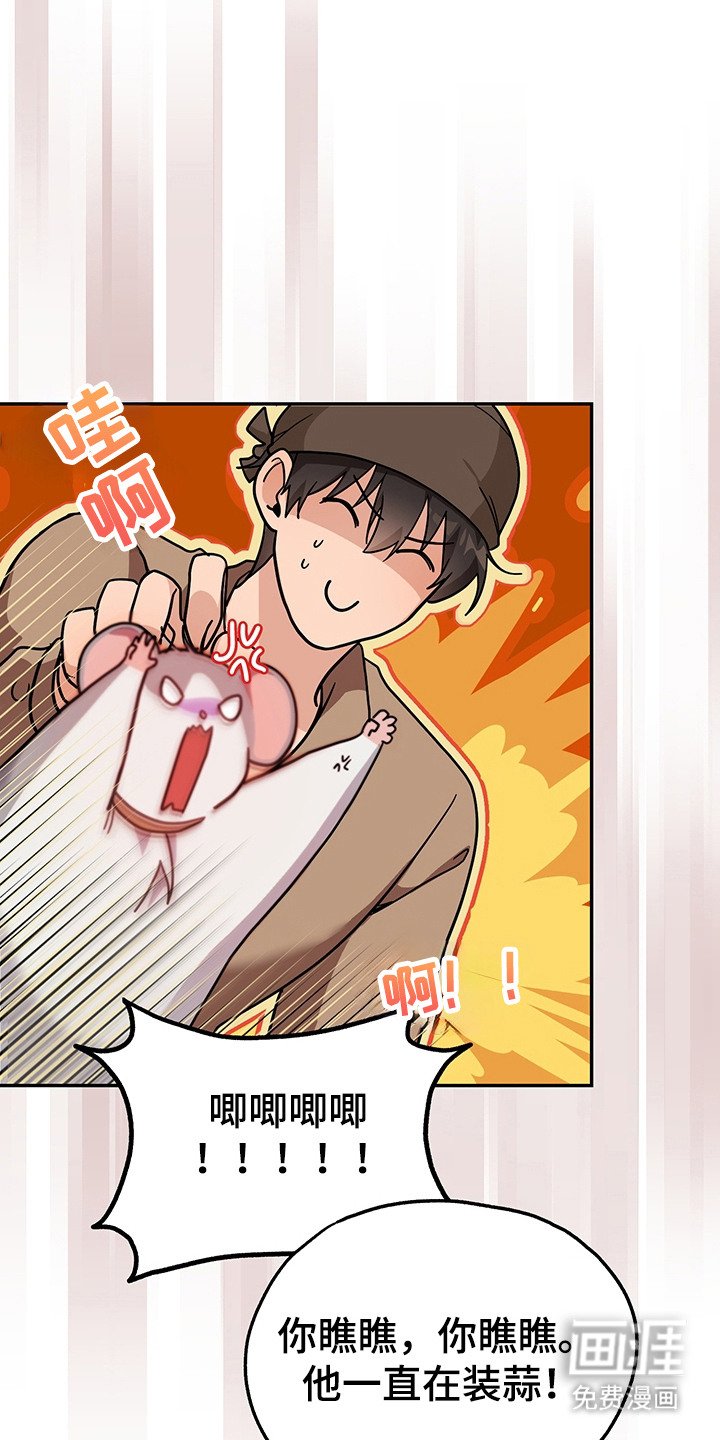 第17章：条件