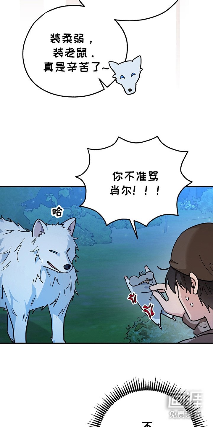 第17章：条件