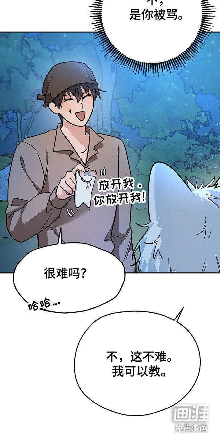 第17章：条件