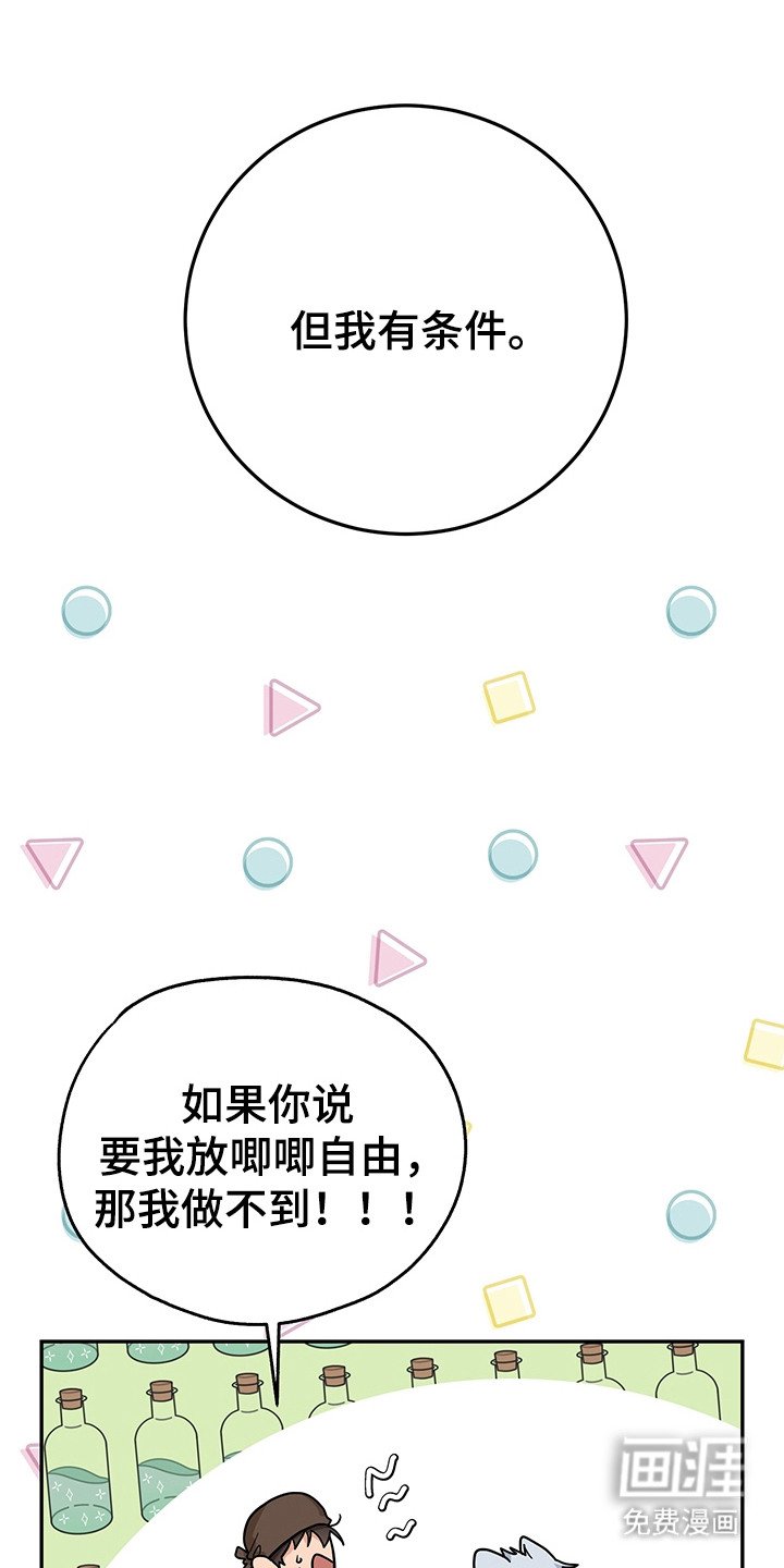 第17章：条件