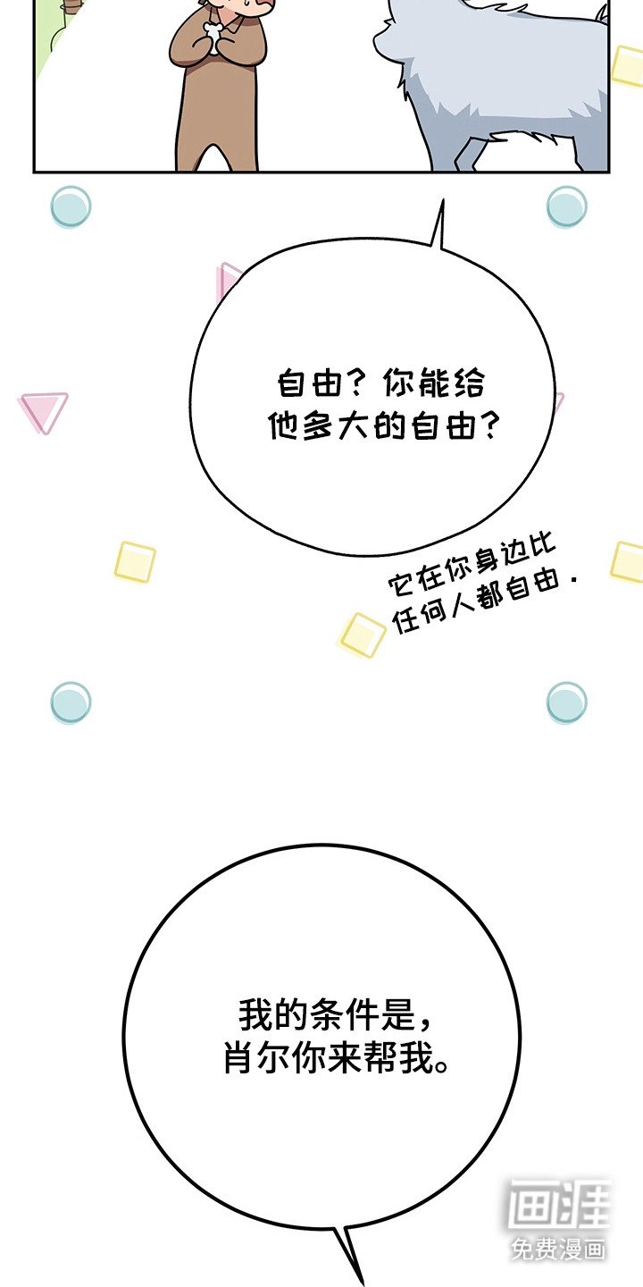 第17章：条件