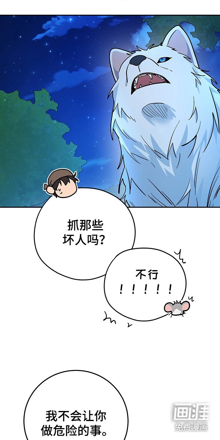 第17章：条件