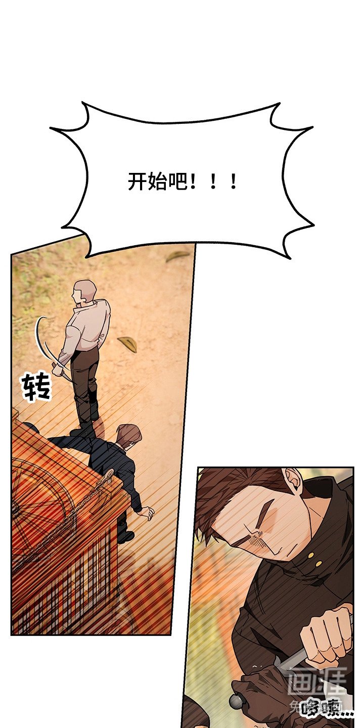 第19章：诱饵