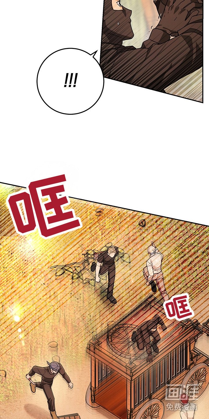第19章：诱饵