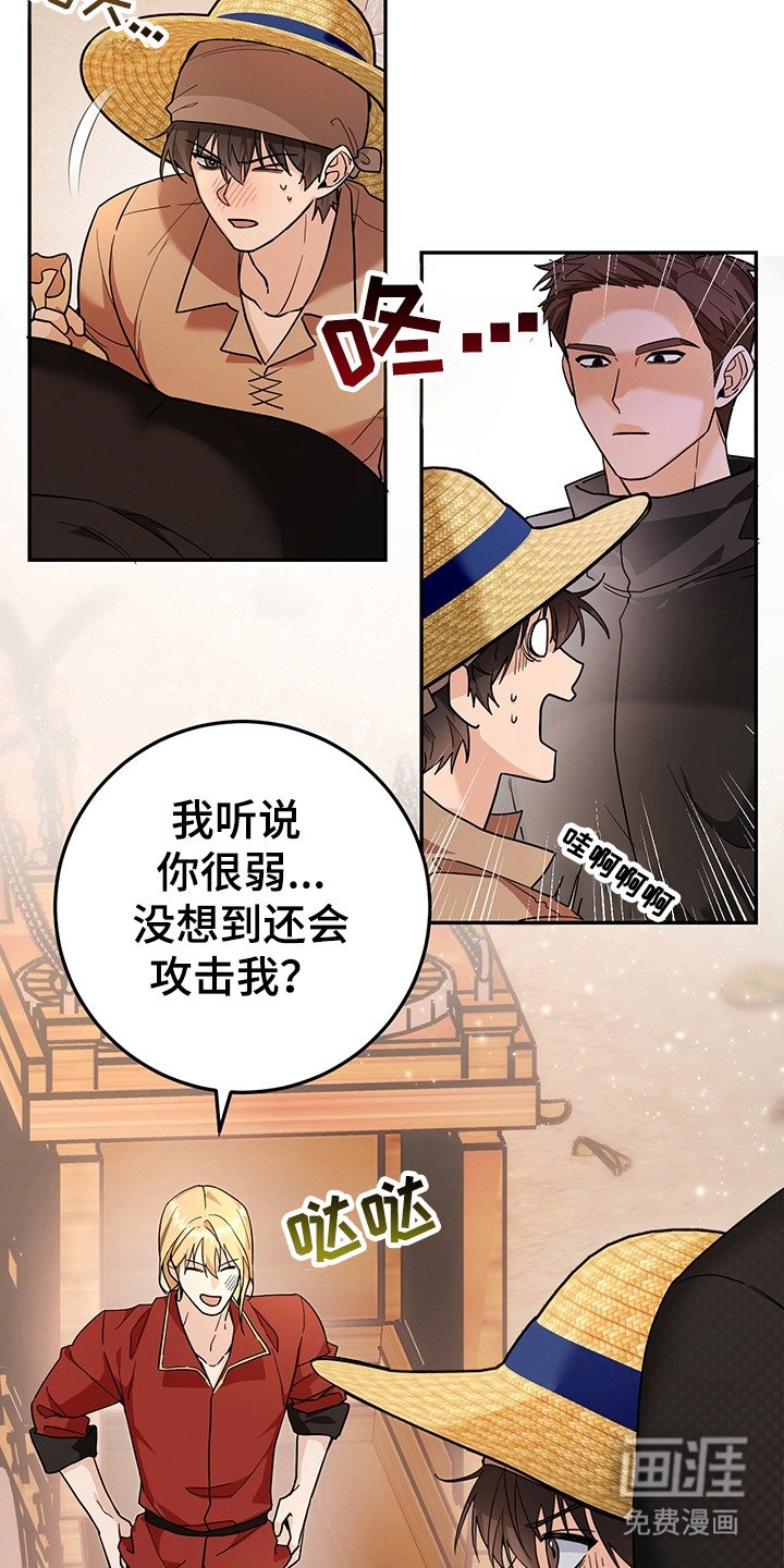 第19章：诱饵