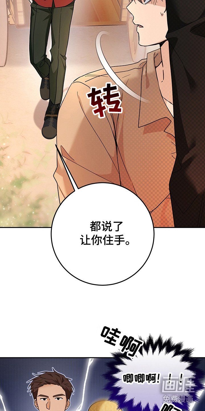 第19章：诱饵