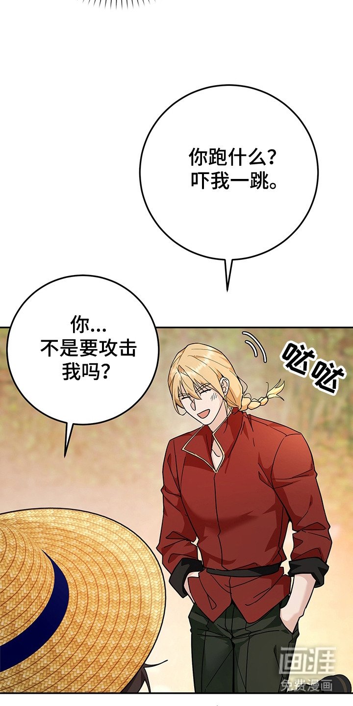 第19章：诱饵