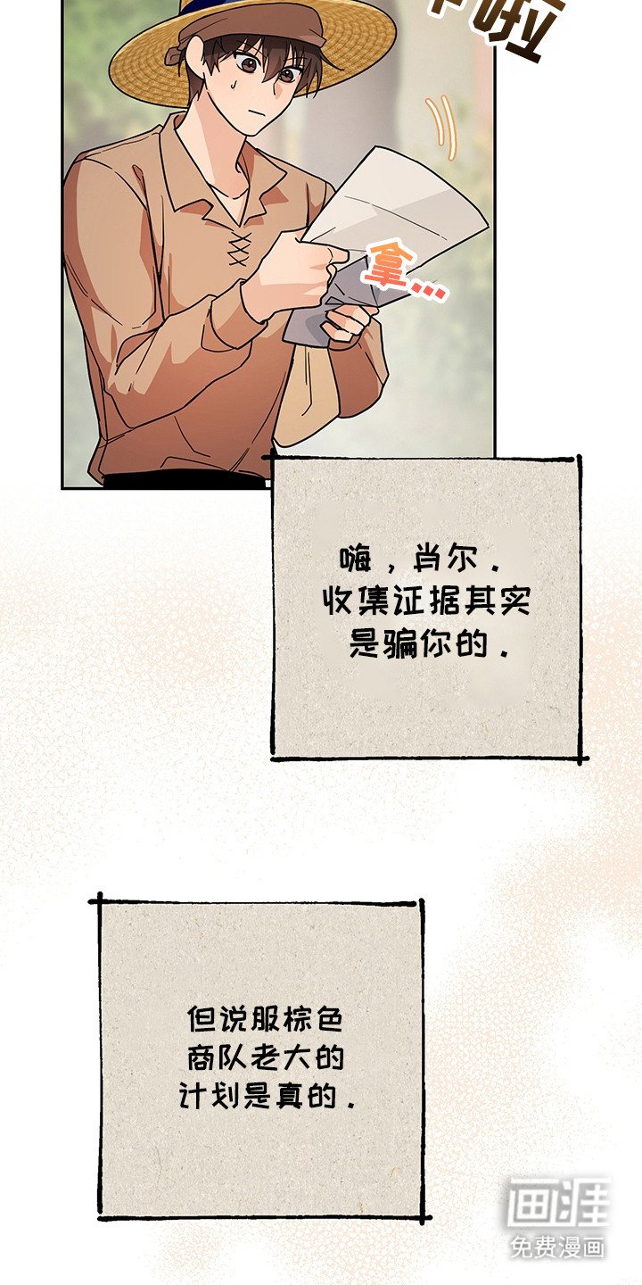 第19章：诱饵