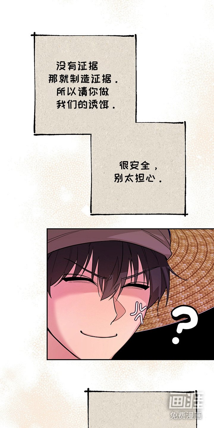 第19章：诱饵
