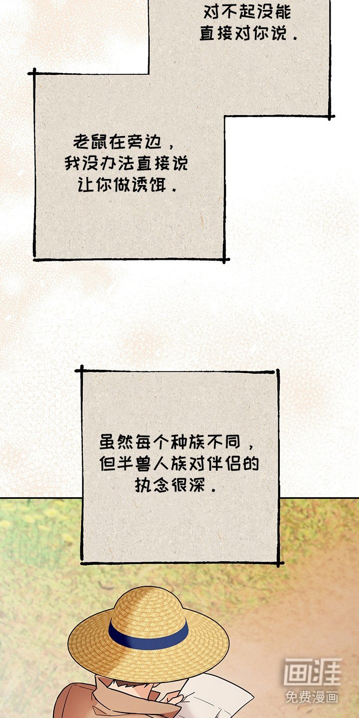 第19章：诱饵