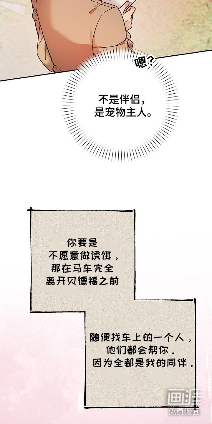 第19章：诱饵