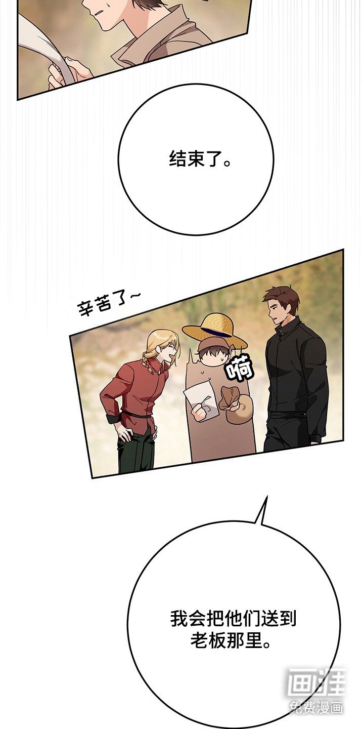 第19章：诱饵