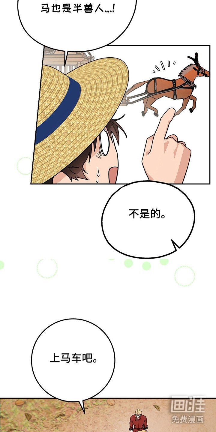 第20章：买装备