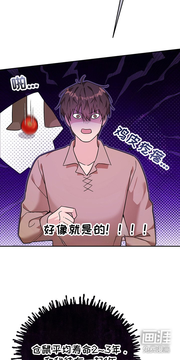 第21章：太离谱了