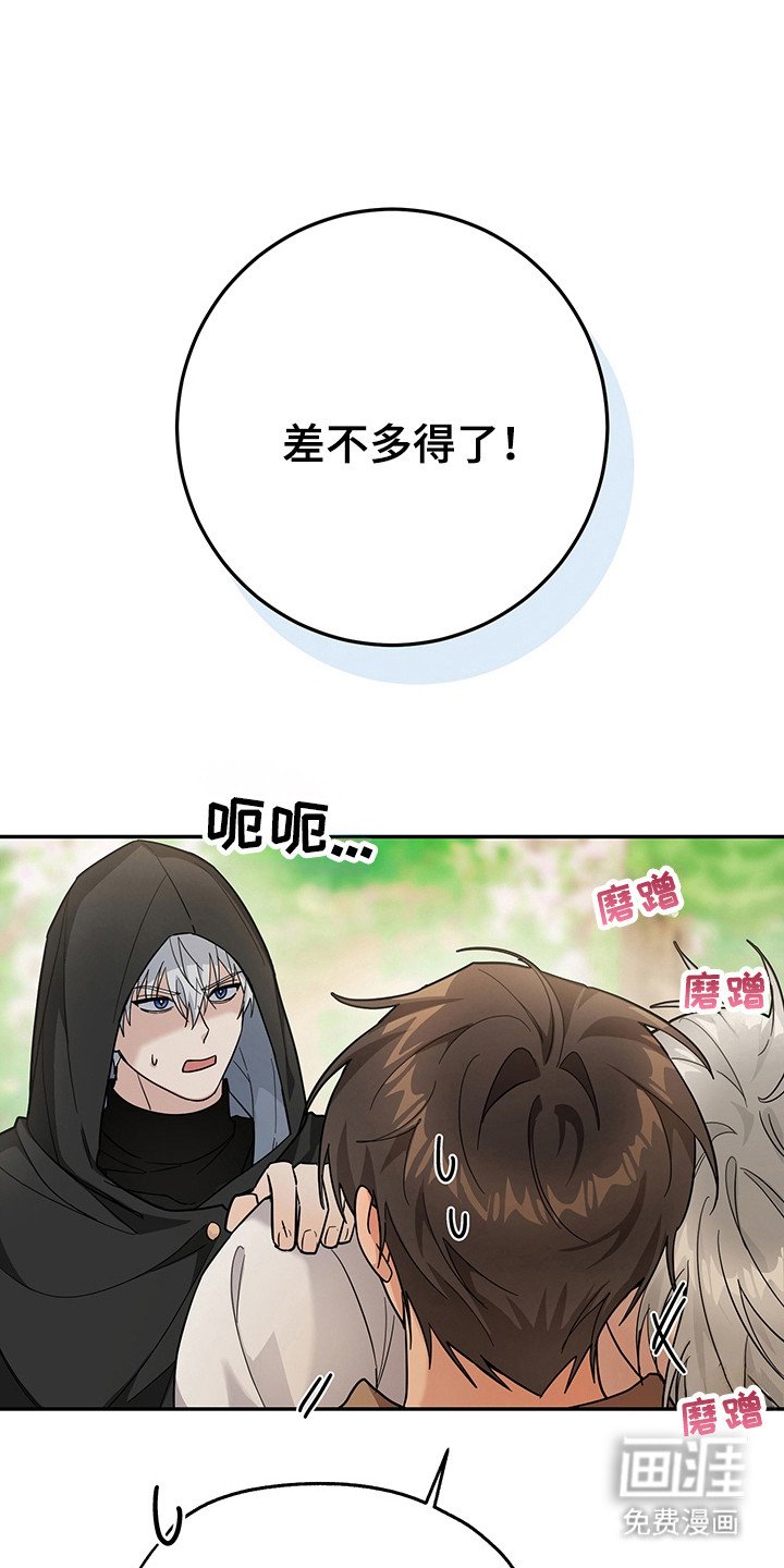 第22章：很快适应