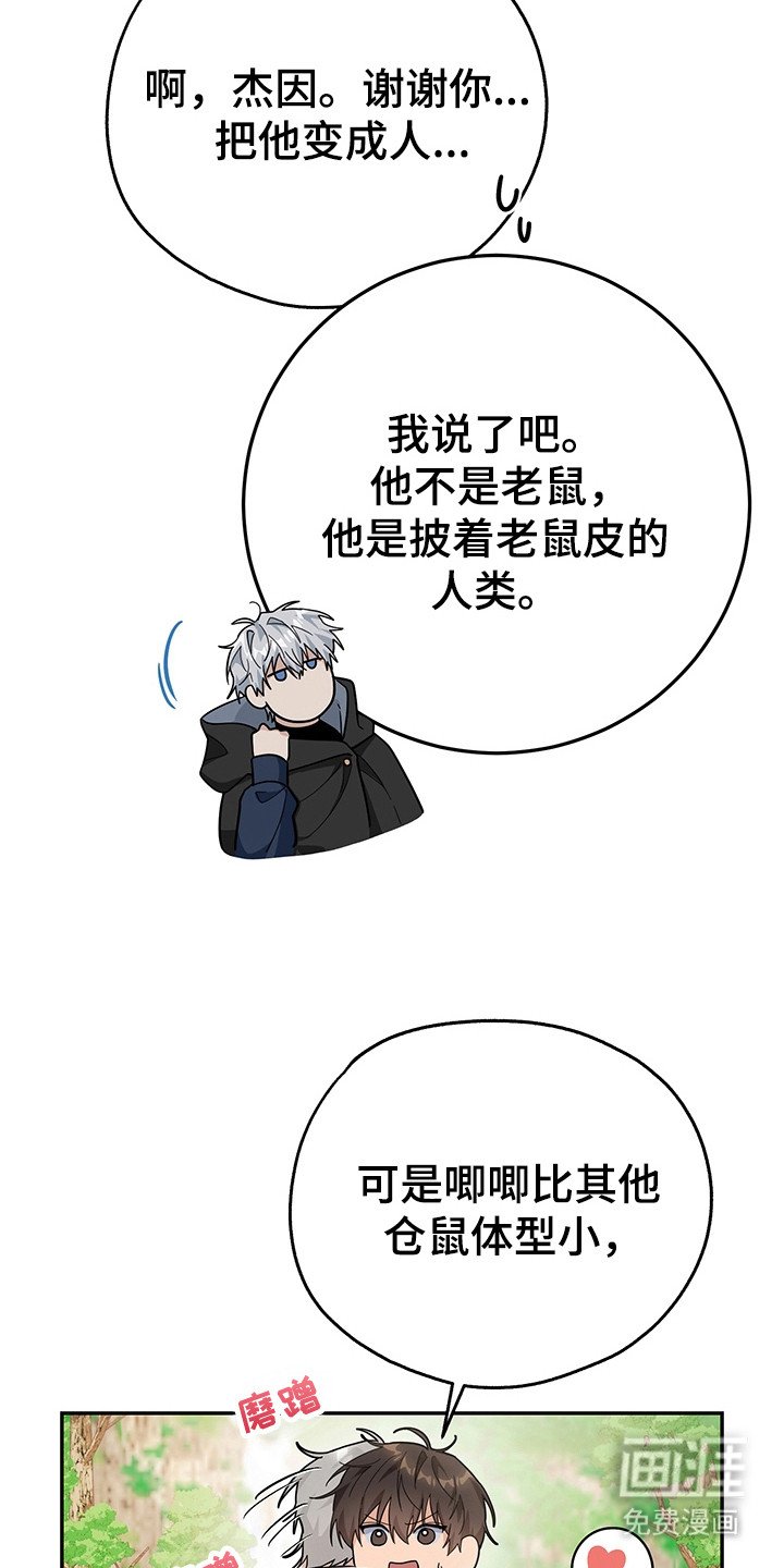 第22章：很快适应