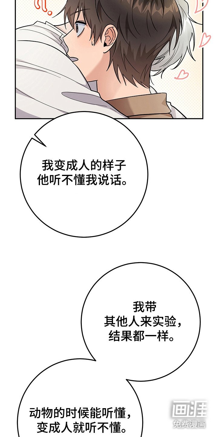 第22章：很快适应