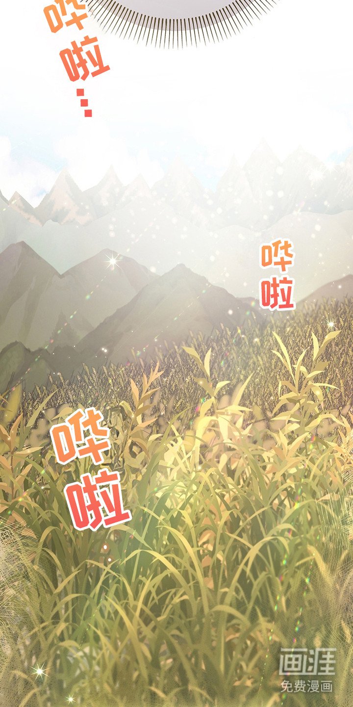 第23章：技能
