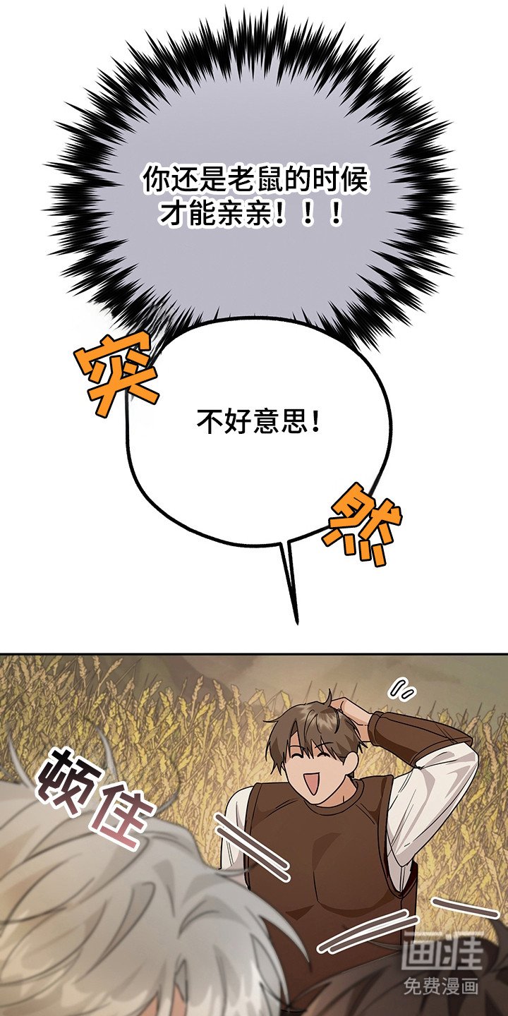 第23章：技能