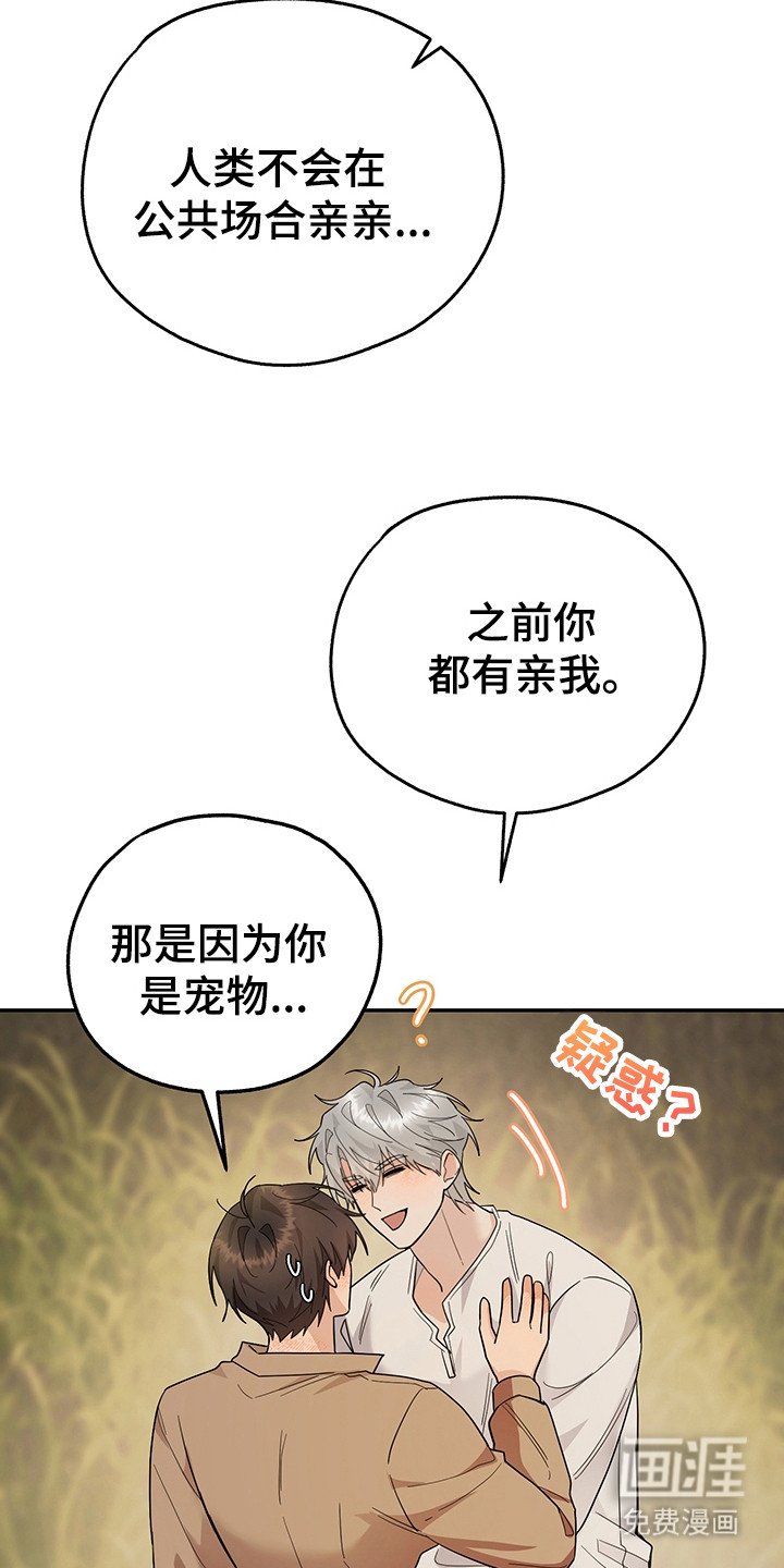 第23章：技能