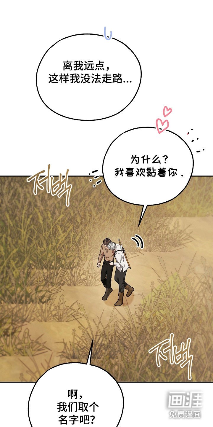 第24章：区域选择