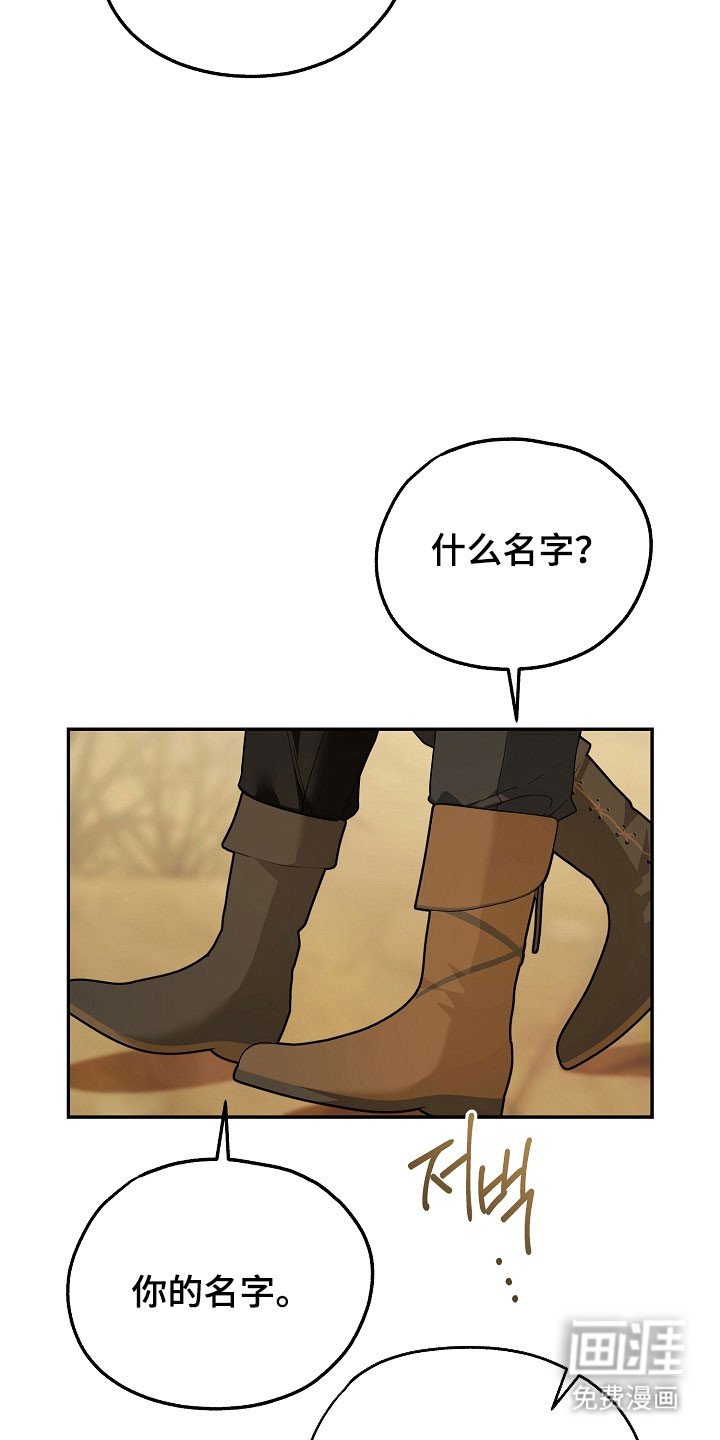 第24章：区域选择