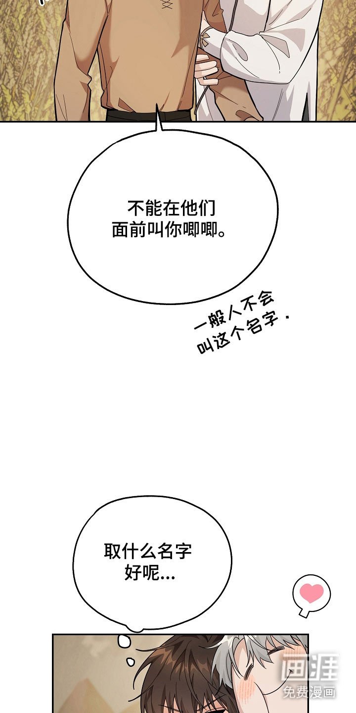 第24章：区域选择