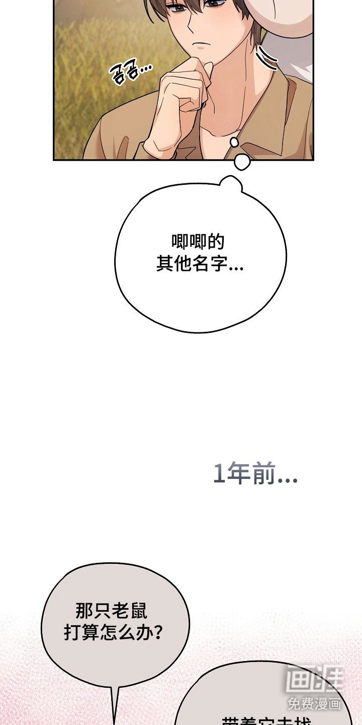 第24章：区域选择