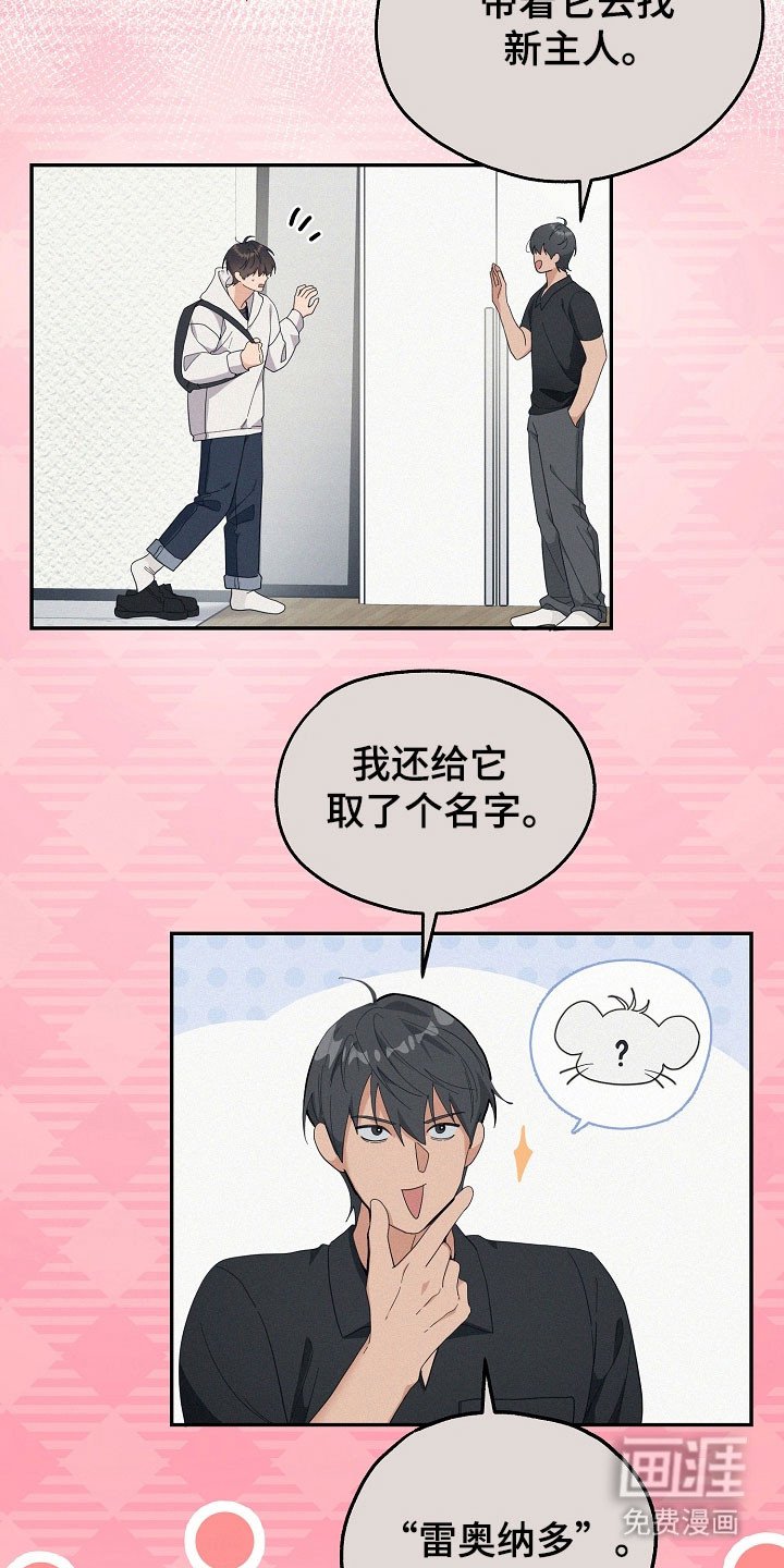 第24章：区域选择