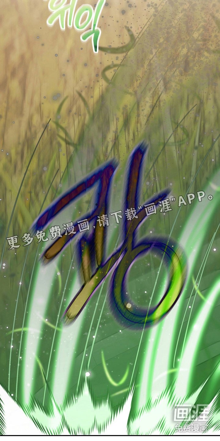 第24章：区域选择
