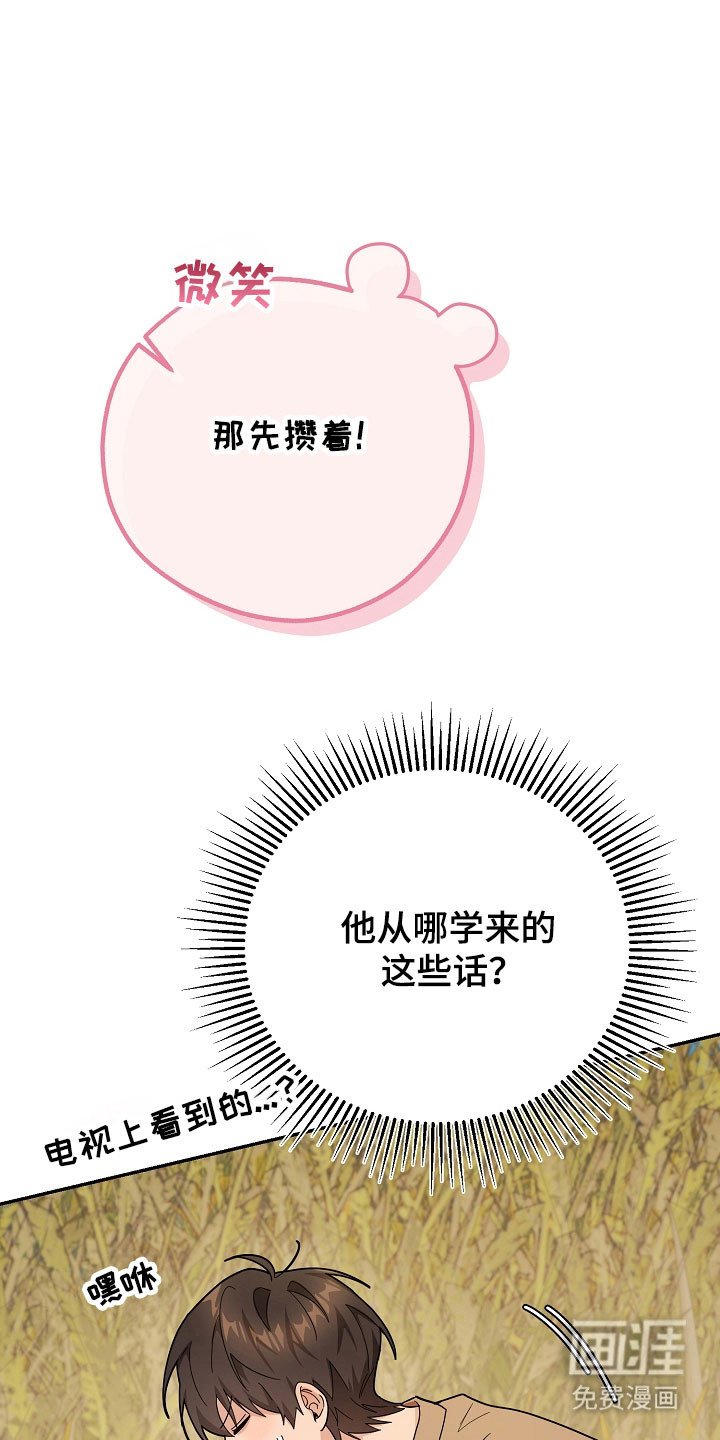 第24章：区域选择