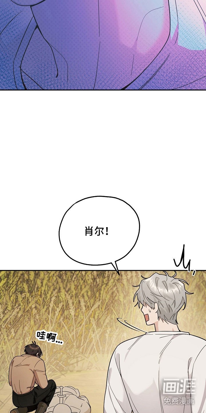 第24章：区域选择
