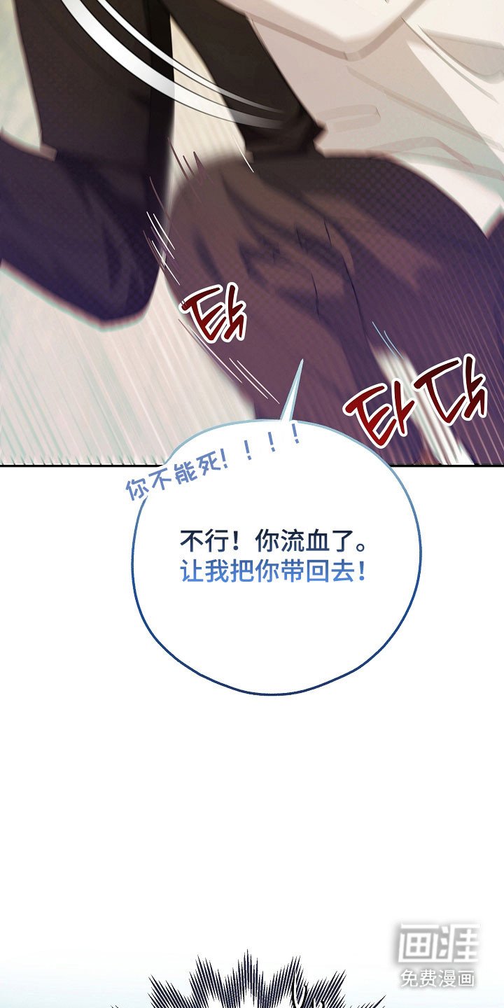 第24章：区域选择