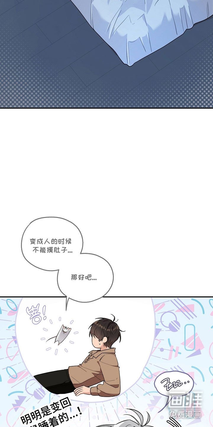 第26章：价值奖励